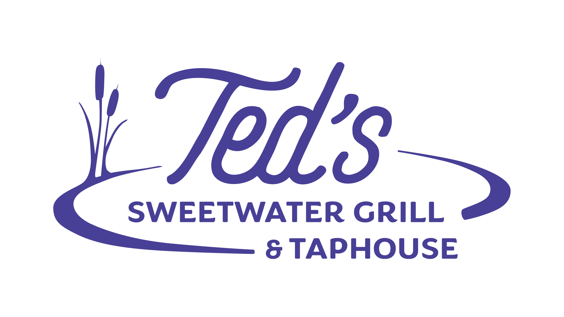 teds logo 1920 blue w alpha