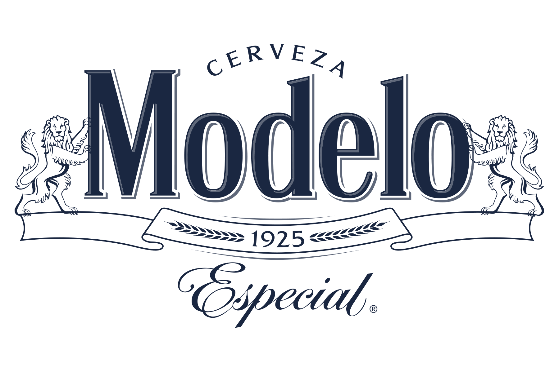 Modelo Especial Lions 1 Color Navy Logo